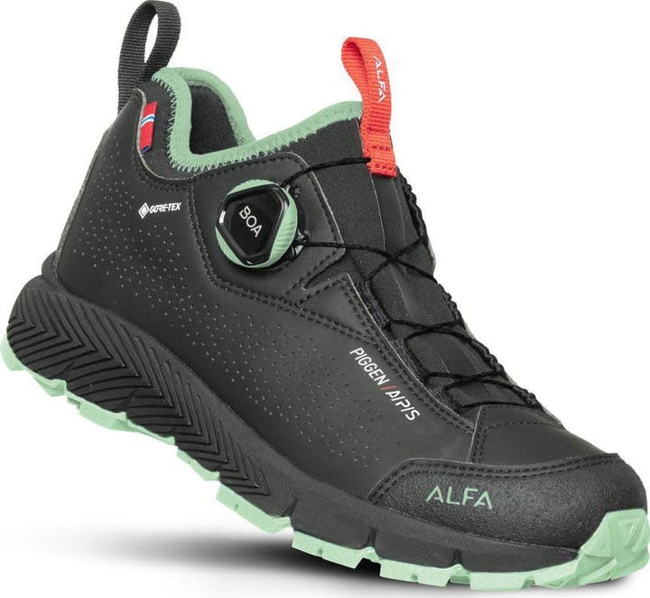 Alfa Women's Piggen A/P/S Gore-Tex BLACK Alfa