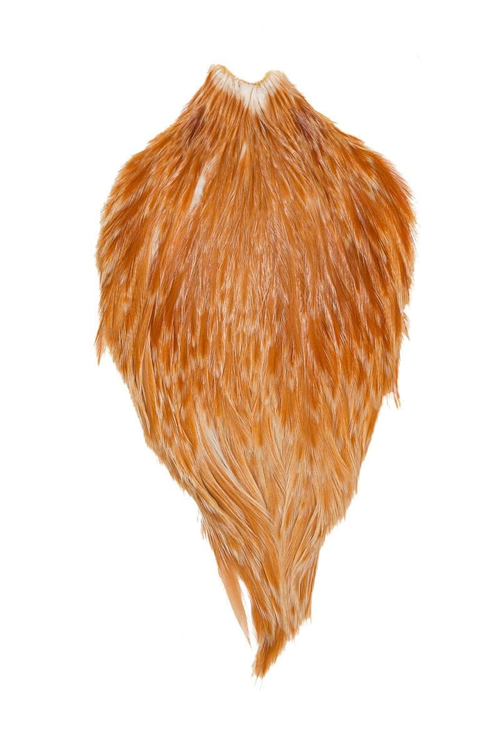 Whiting American Rooster Cape Whiting