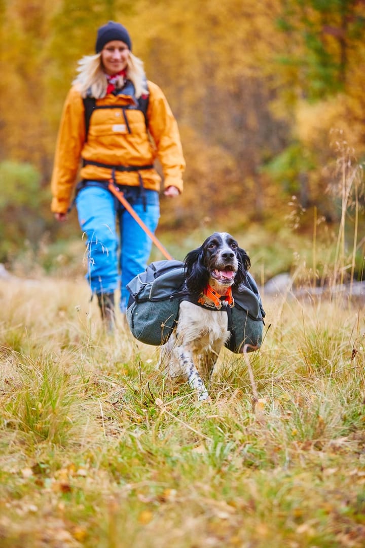 Non-Stop Dogwear Amundsen Pack Grey/Black Non-stop Dogwear