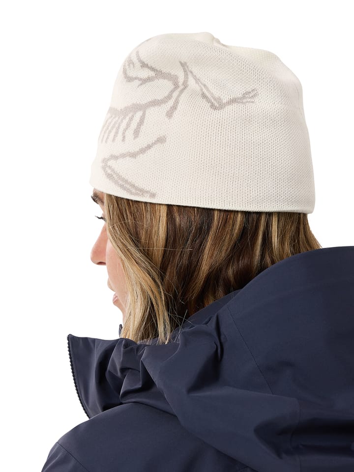 Arc'teryx Bird Head Toque Arctic Silk / Rune Arc'teryx Arc'teryx Bird Head Toque Arctic Silk / Rune Arc'teryx