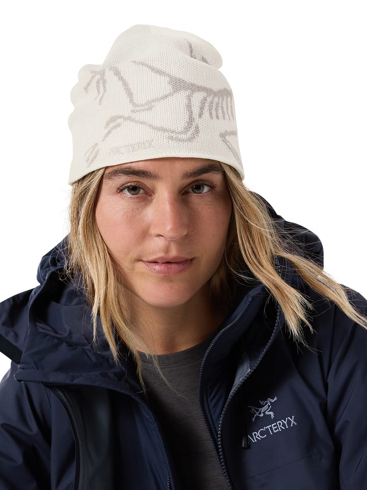 Arc'teryx Bird Head Toque Arctic Silk / Rune Arc'teryx Arc'teryx Bird Head Toque Arctic Silk / Rune Arc'teryx