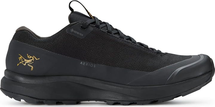 Arc'teryx Men's Aerios FL 2 Gore-Tex Shoe Black/Black Arc'teryx