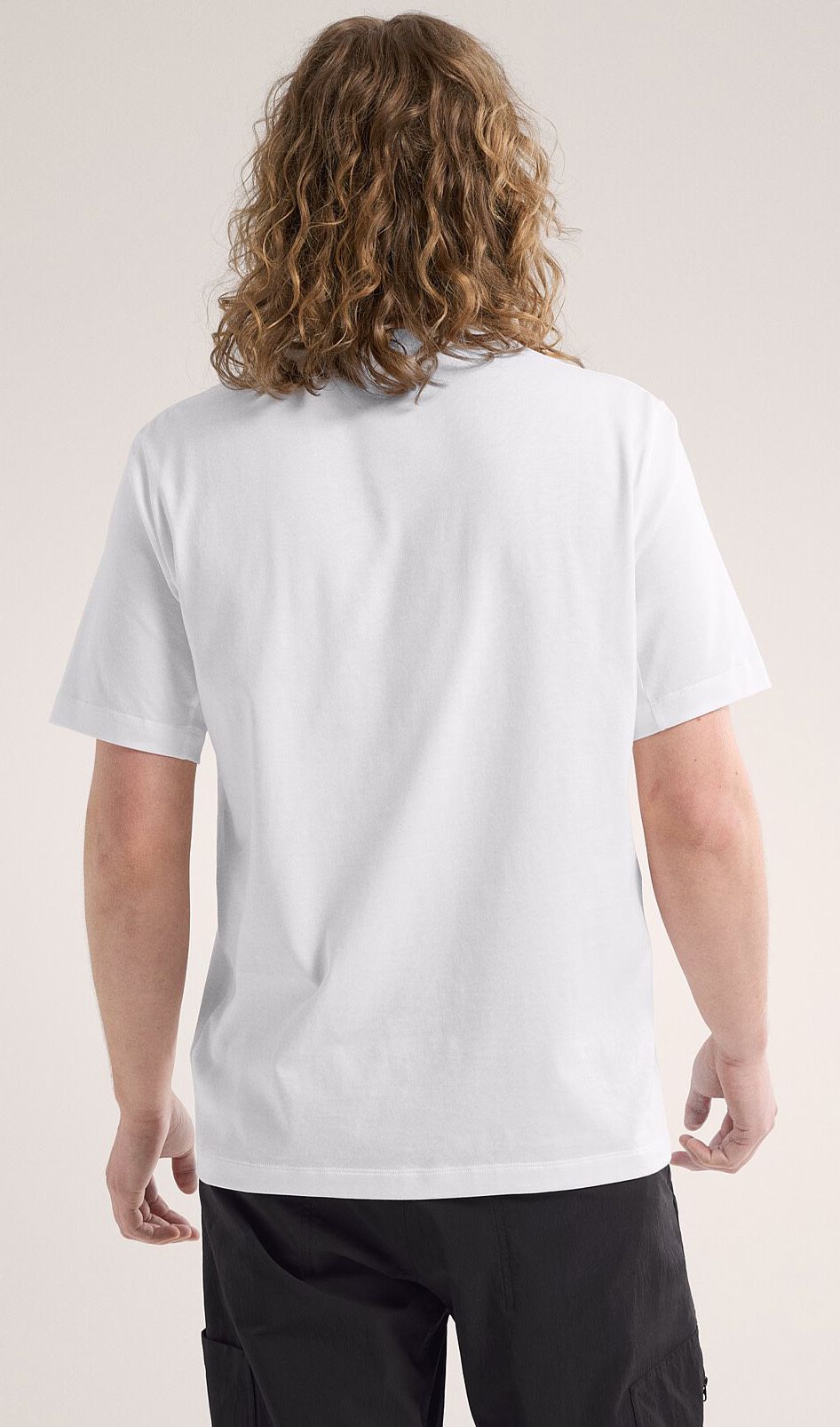 Arc'teryx Men's Arc'Word Logo SS White Light | Buy Arc'teryx