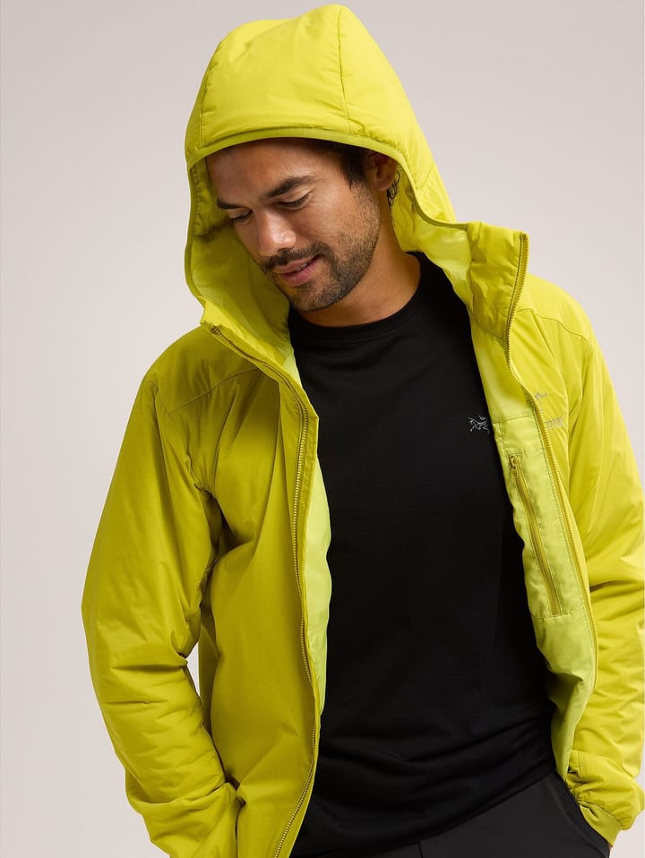 Men's Atom Hoody Lampyre Arc'teryx