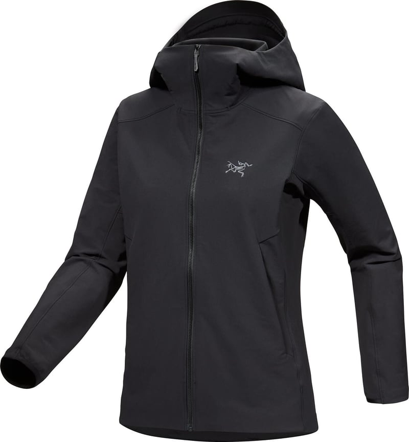 Arc’teryx Gamma SL Hoody woman's Arcteryx Womens Gamma SL Hoody Astral