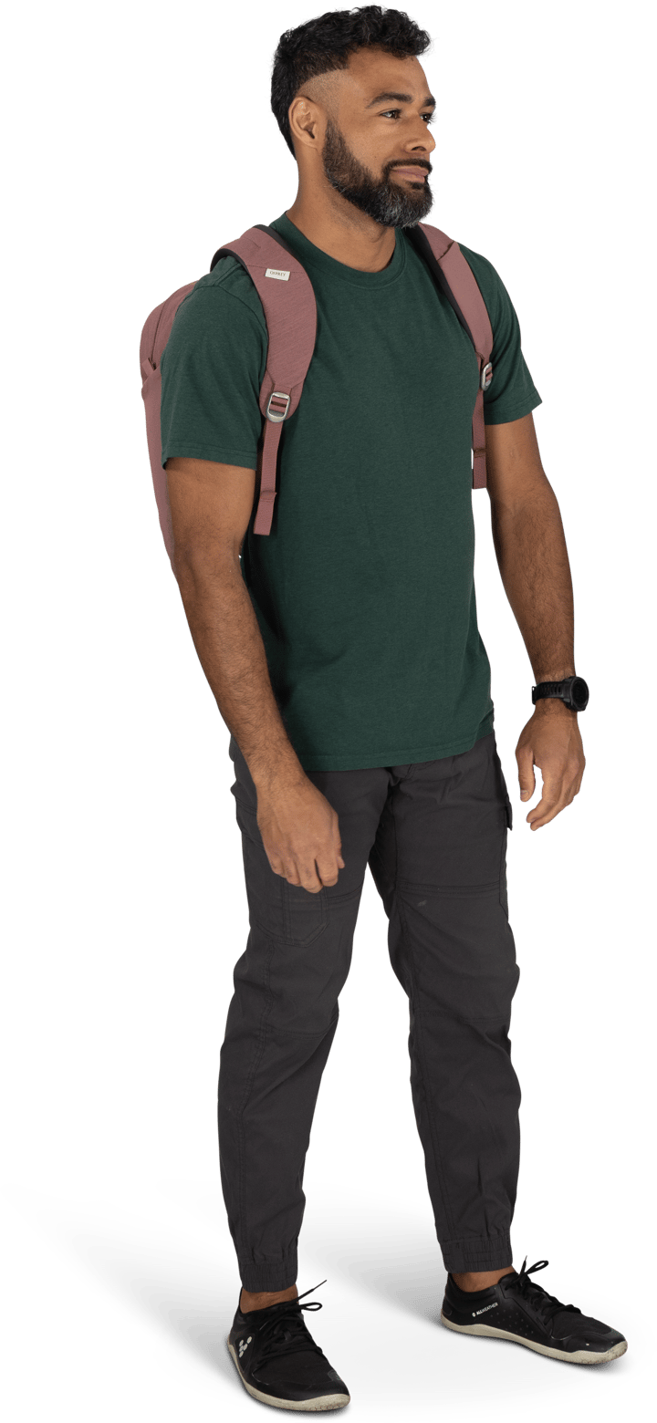 Osprey Arcane Large Day Purple Garnet Heather Osprey