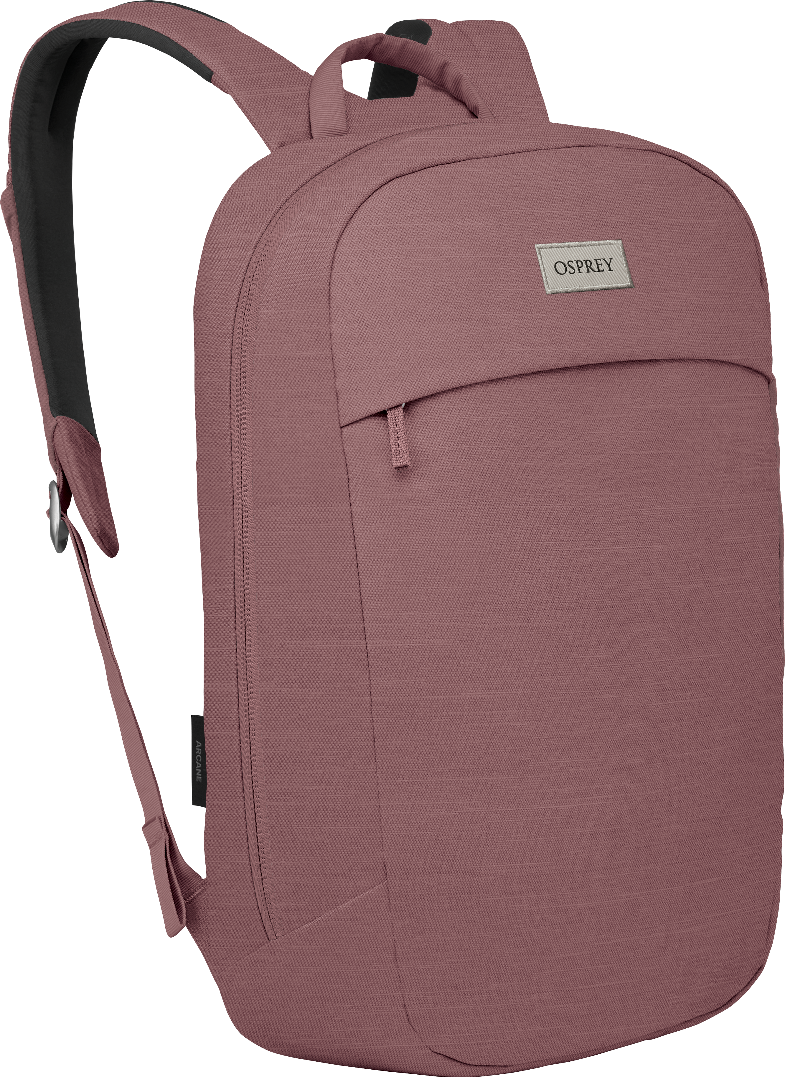 Purple garnet heather