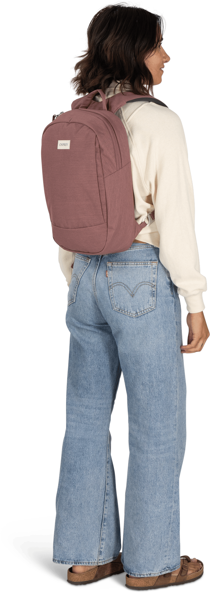 Osprey Arcane Small Day Purple Garnet Heather Osprey