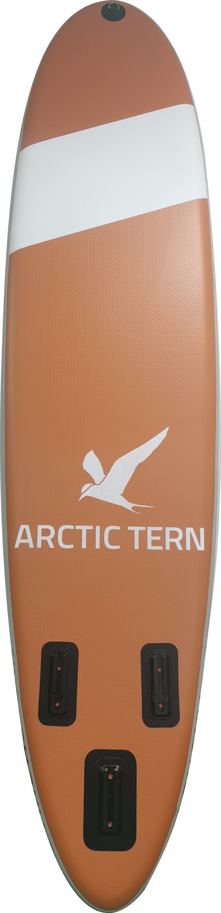 Arctic Tern Gotland SUP Amber Glow Arctic Tern