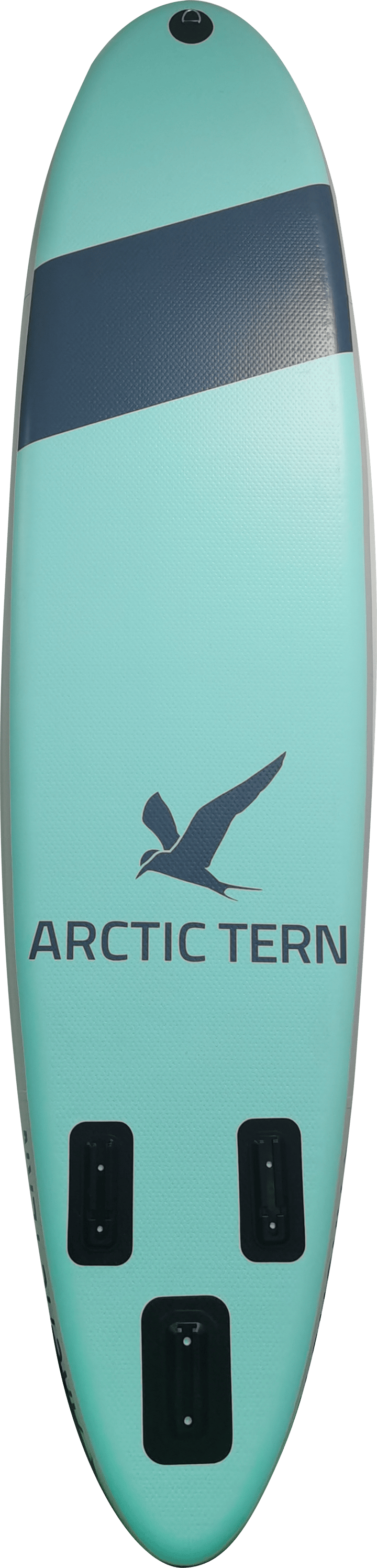 Arctic Tern Gotland SUP Cyan Arctic Tern