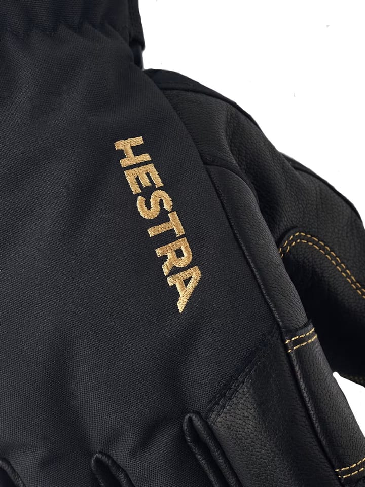 Hestra Army Leather Gore-Tex - 5 Finger Black/Black Hestra
