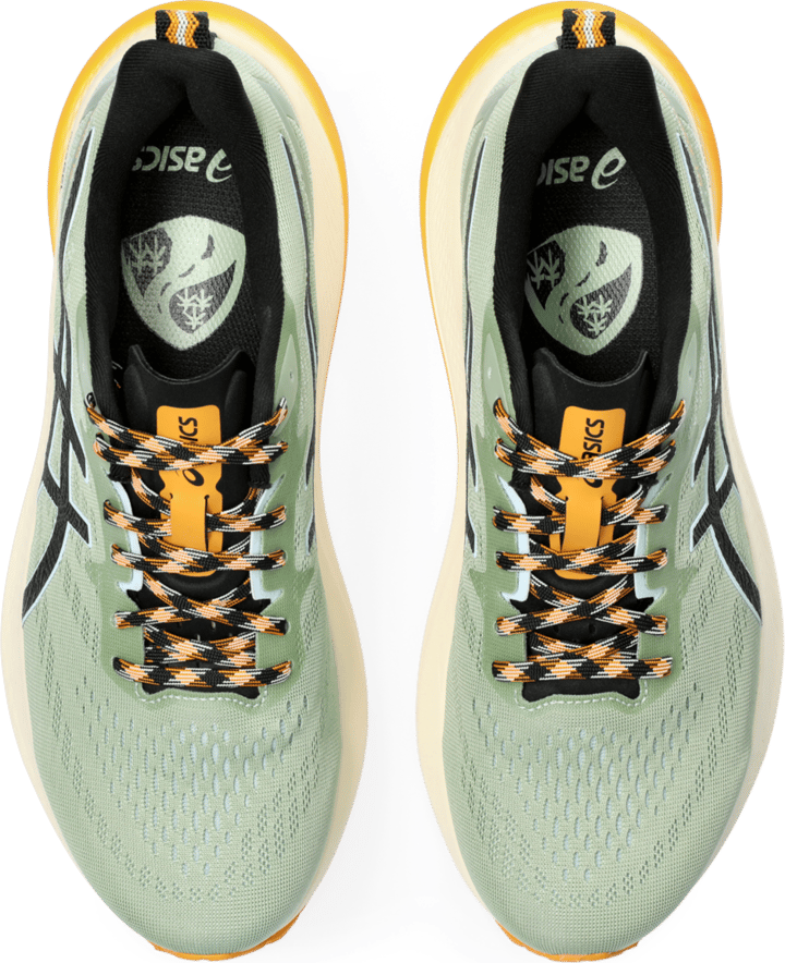 Asics Men's GT-2000 12 TR Nature Bathing/Fellow Yellow Asics Asics Men's GT-2000 12 TR Nature Bathing/Fellow Yellow Asics