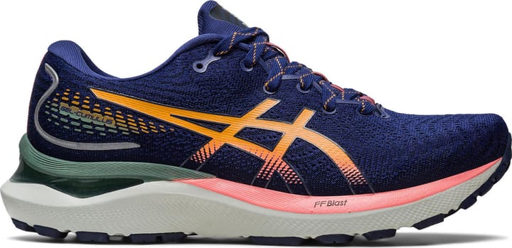 Women's Gel-Cumulus 24 TR Nature Bathing/Papaya Asics