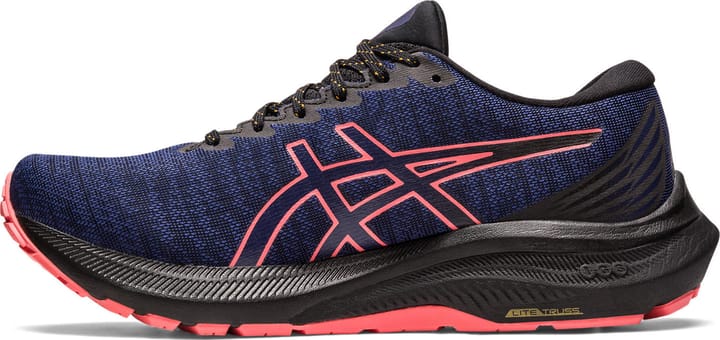 Asics Women's GT-2000 11 GORE-TEX Black/Indigo Blue Asics