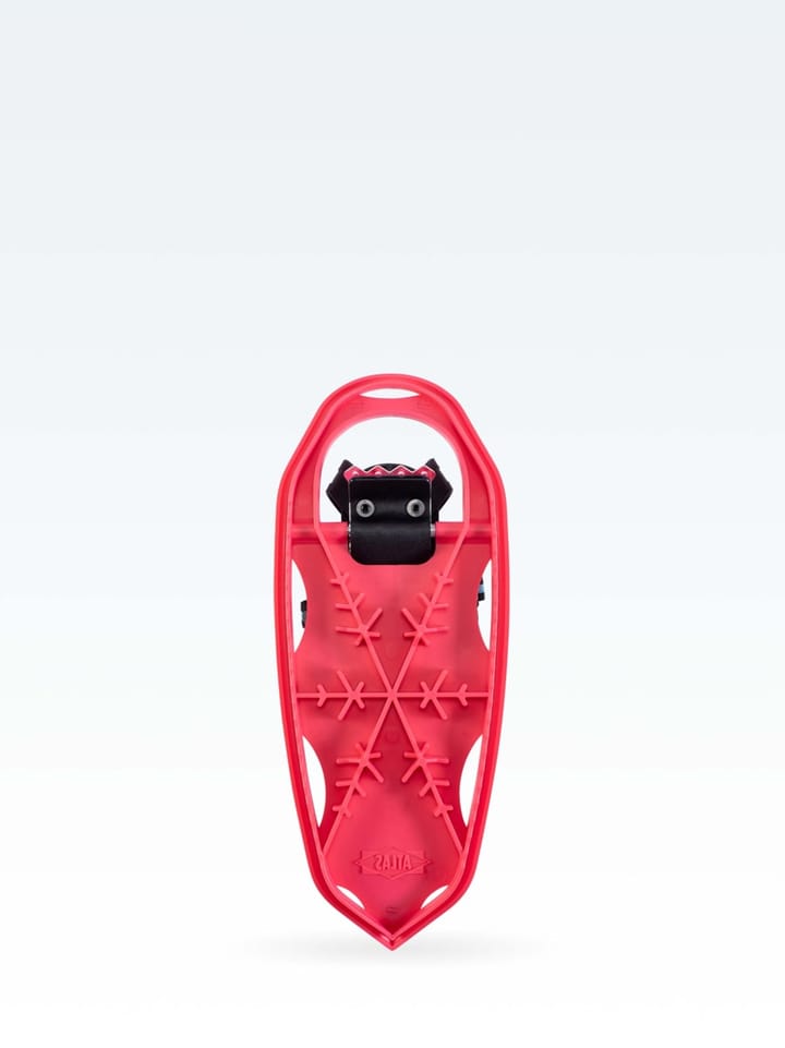 Atlas Mini Coral Atlas Atlas Mini Coral Atlas