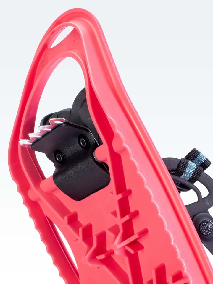 Atlas Mini Coral Atlas Atlas Mini Coral Atlas