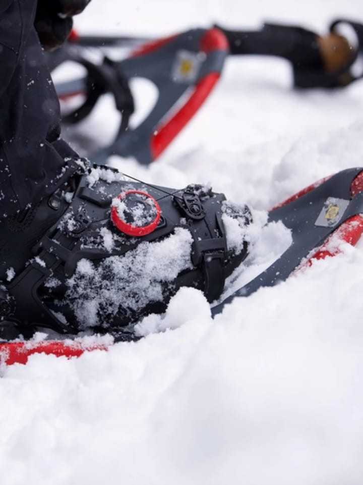 Atlas Treeline Red Atlas Atlas Treeline Red Atlas