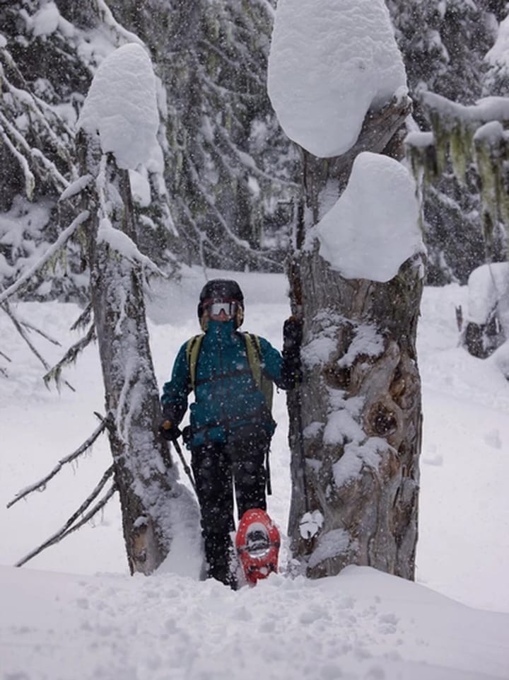 Atlas Treeline W Dark Coral Atlas Atlas Treeline W Dark Coral Atlas