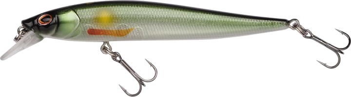 Berkley Dex Stunna 80 Berkley