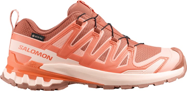 Salomon Women's XA Pro 3d V9 GORE-TEX Pecan Brown / Nectarine / Almond Cream Salomon