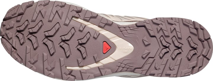 Salomon Xa Pro 3d V9 Lifelong W Tapioca / Tapioca / Iron Salomon