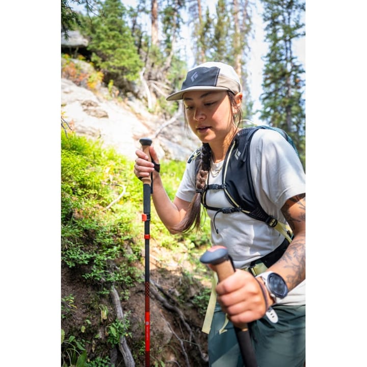 Black Diamond Pursuit Carbon FLZ Trek Poles Octane Black Diamond