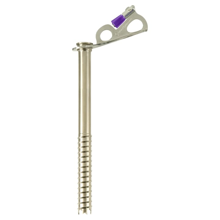 Black Diamond Express Ice Screw 22cm Ice Screw Black Diamond