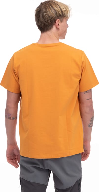 Bergans Men's Graphic Tee  Golden Field/Dark Shadow Grey Bergans
