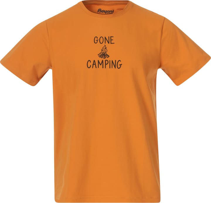 Bergans Men's Graphic Tee  Golden Field/Dark Shadow Grey Bergans
