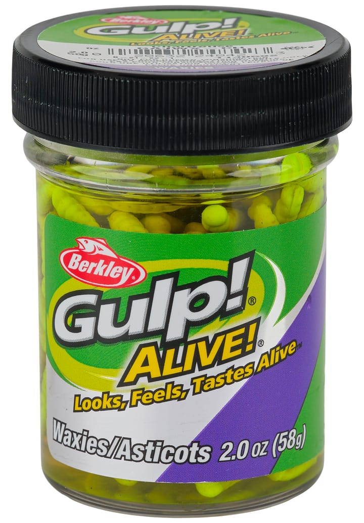 Berkley Berkley Gulp Alive "Waxies" Maggot Chartreuse Berkley Berkley Berkley Gulp Alive "Waxies" Maggot Chartreuse Berkley