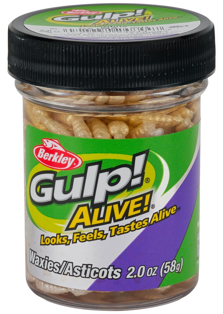 Berkley Berkley Gulp Alive "Waxies" Maggot White Berkley Berkley Berkley Gulp Alive "Waxies" Maggot White Berkley