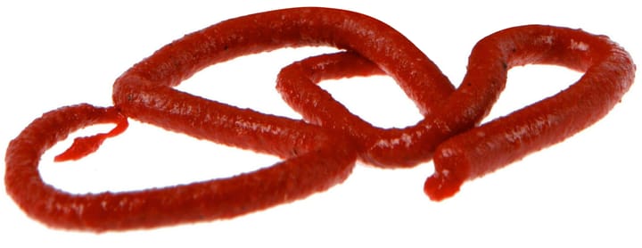 Berkley Gew-Rdw Gulp Extrd Earthworm Red Wglr Qm Berkley
