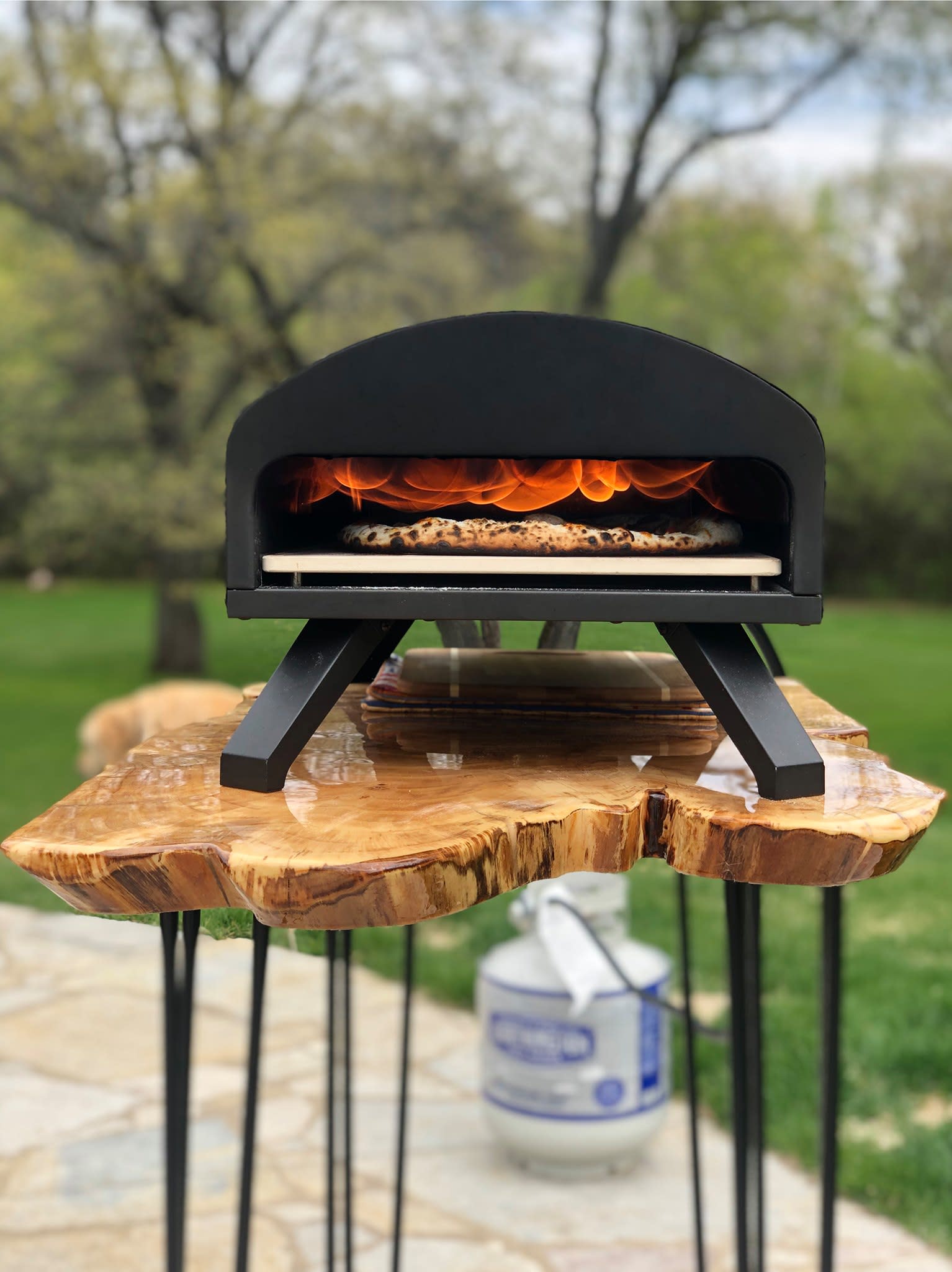 Bertello Pizza Oven Black