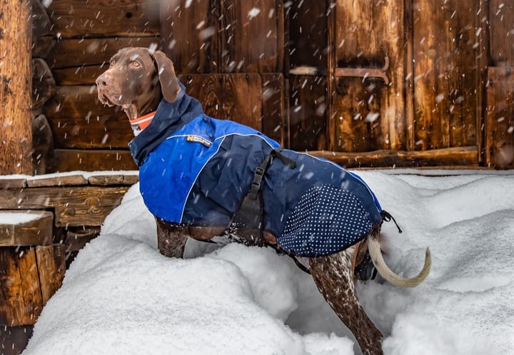 Non-stop Dogwear Beta Pro Raincoat Black/Purple Non-stop Dogwear Non-stop Dogwear Beta Pro Raincoat Black/Purple Non-stop Dogwear