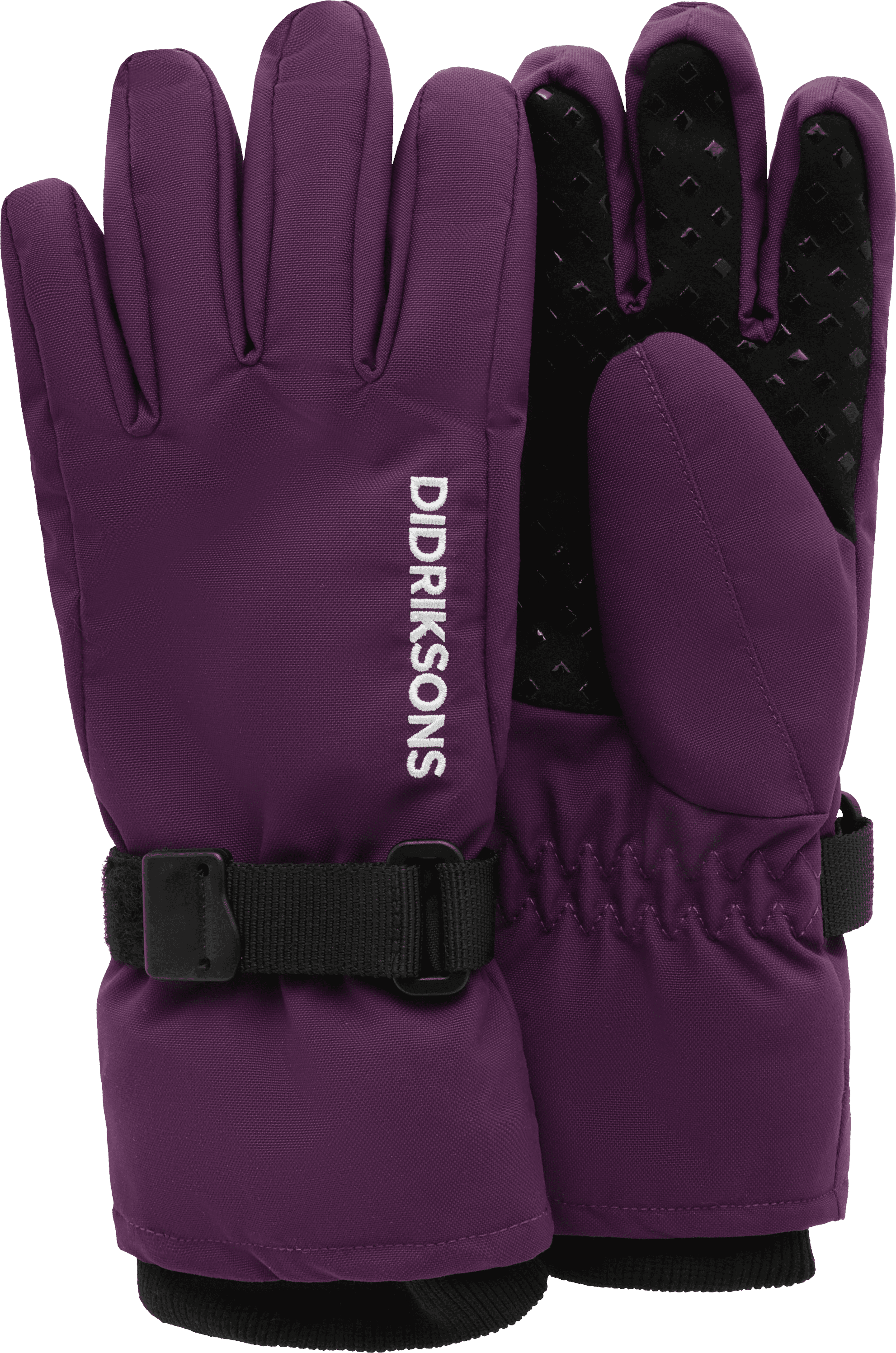 Northen purple 1