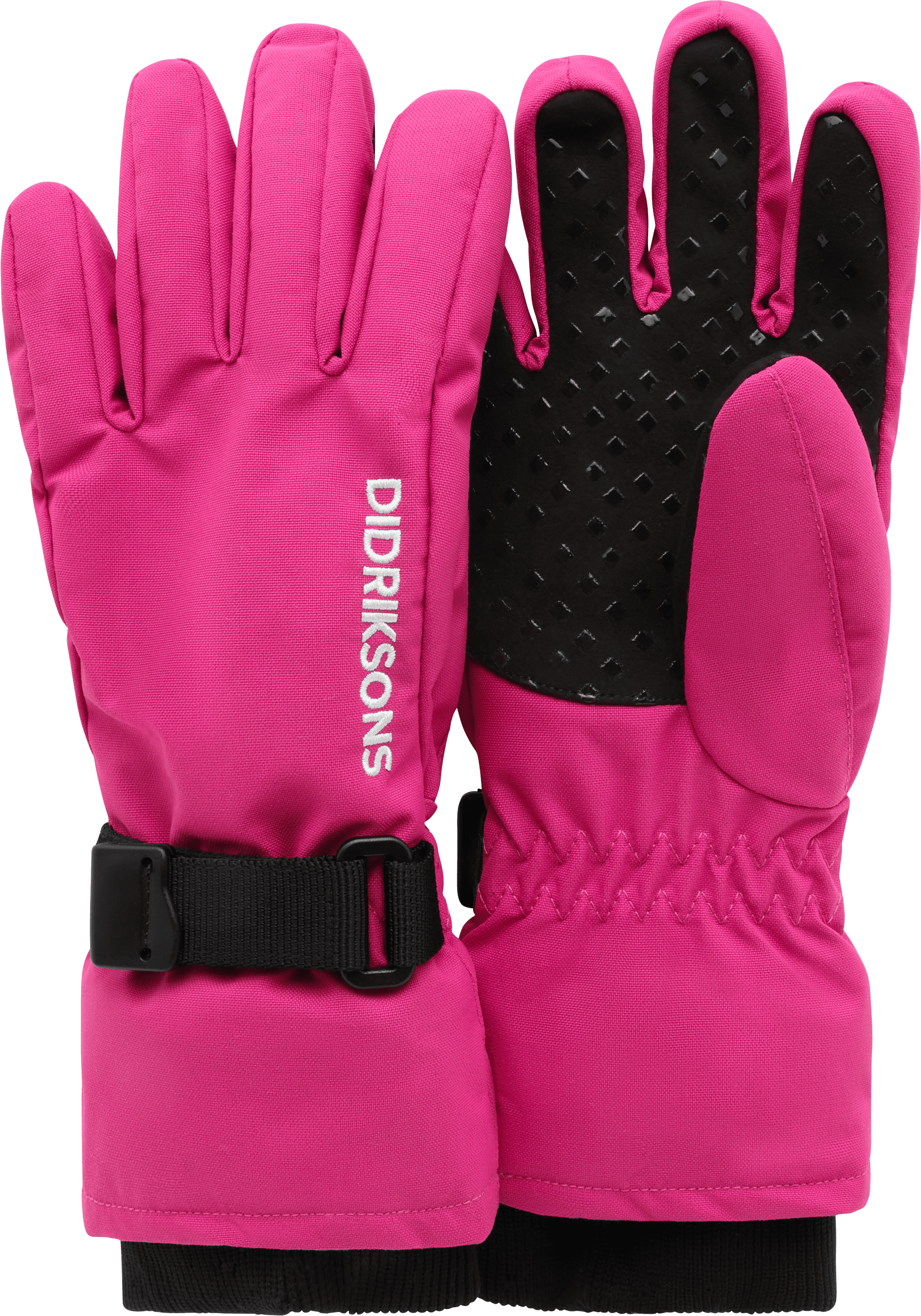 Cactus pink 1