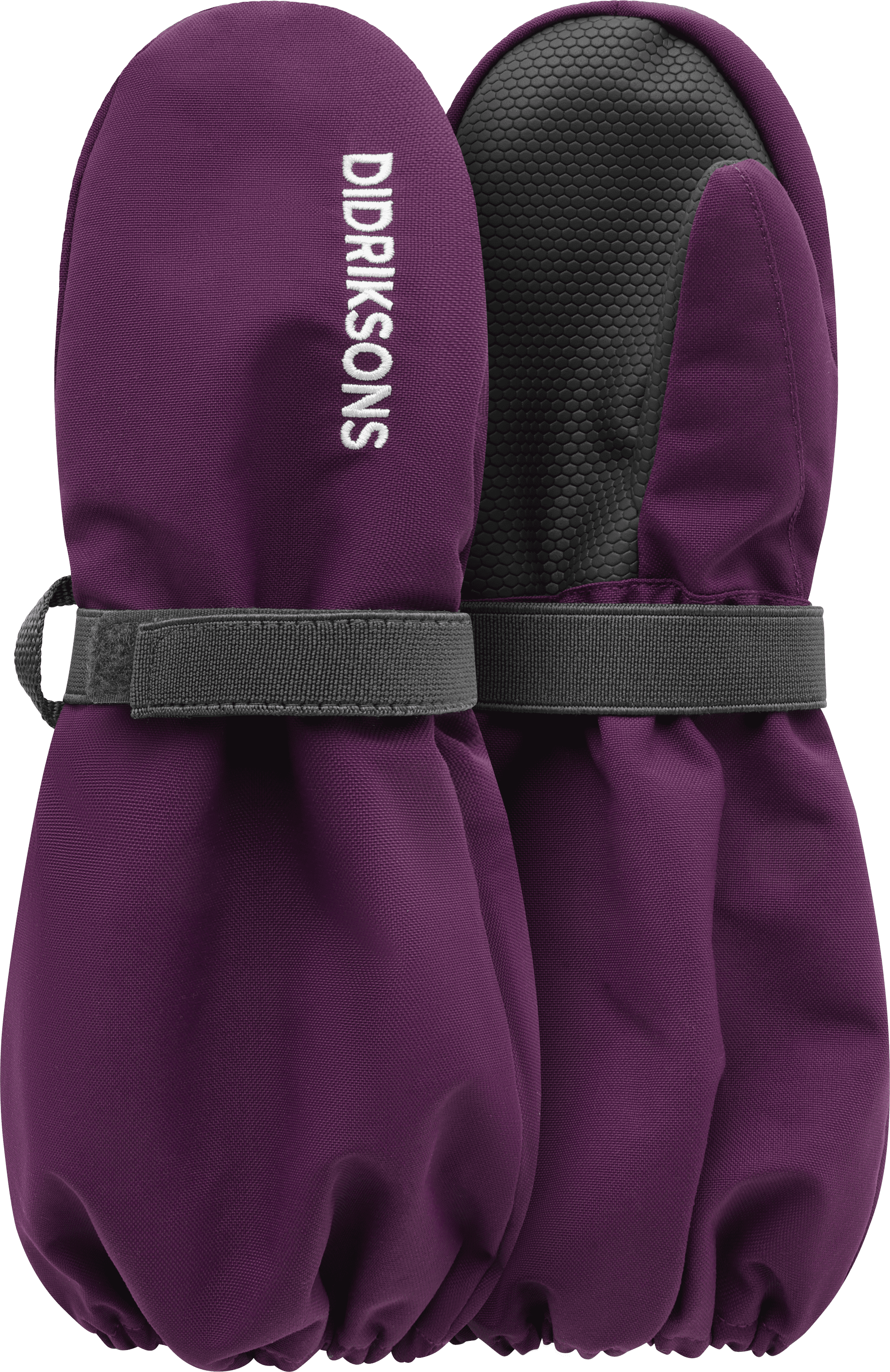 Northen purple 1