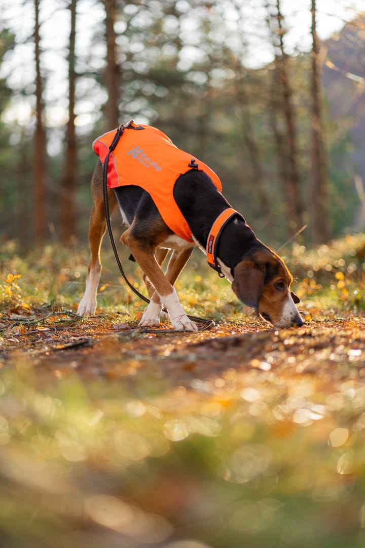Non-stop Dogwear Protector Cover 2.0 Orange Non-stop Dogwear Non-stop Dogwear Protector Cover 2.0 Orange Non-stop Dogwear
