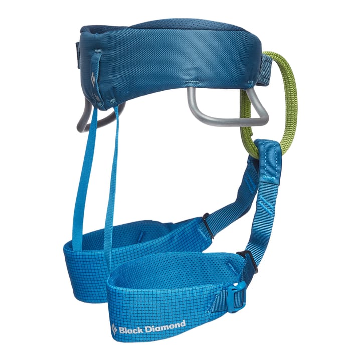 Black Diamond Kids' Momentum Harness Kingfisher Black Diamond