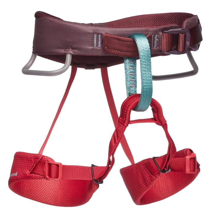 Black Diamond Kids' Momentum Harness Wild Rose Black Diamond