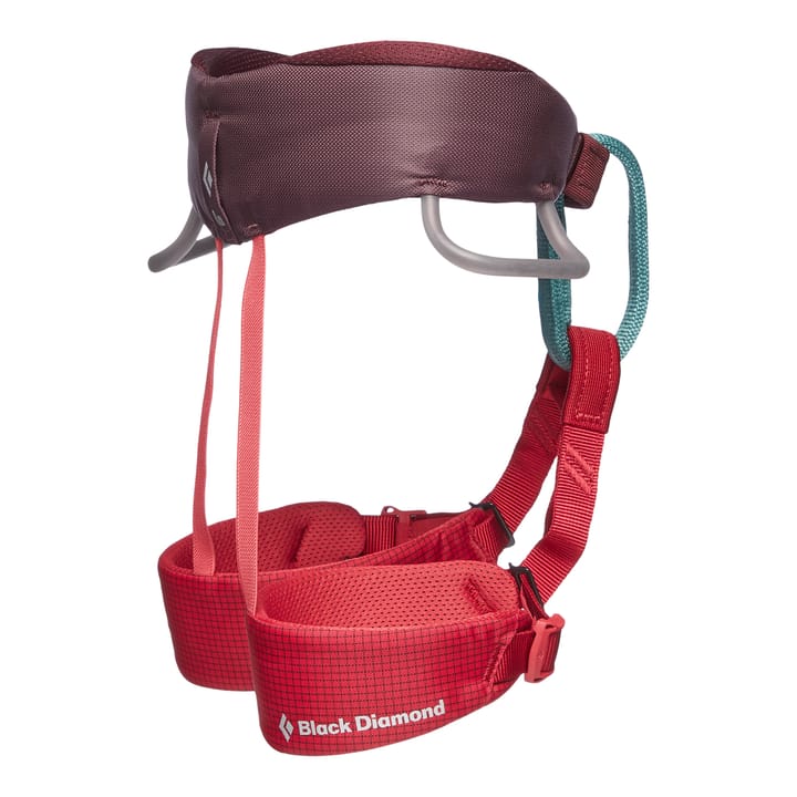Black Diamond Kids' Momentum Harness Wild Rose Black Diamond