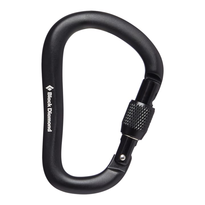 Black Diamond RockLock Screwgate Carabiner Black Black Diamond