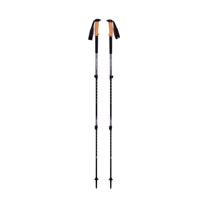 Trail Cork Trekking Poles Granite Black Diamond