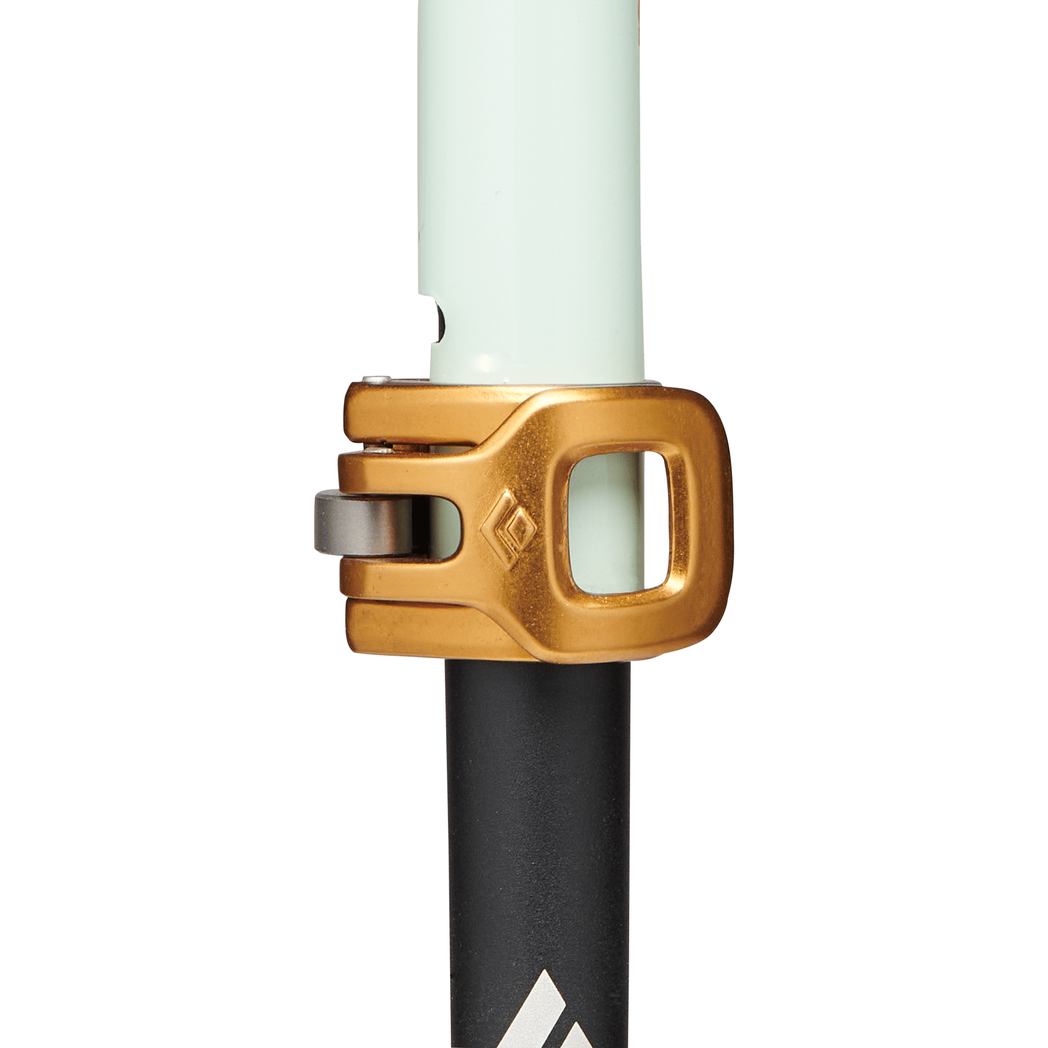 Black Diamond Traverse Pro Ski Poles Foam Green | Buy Black