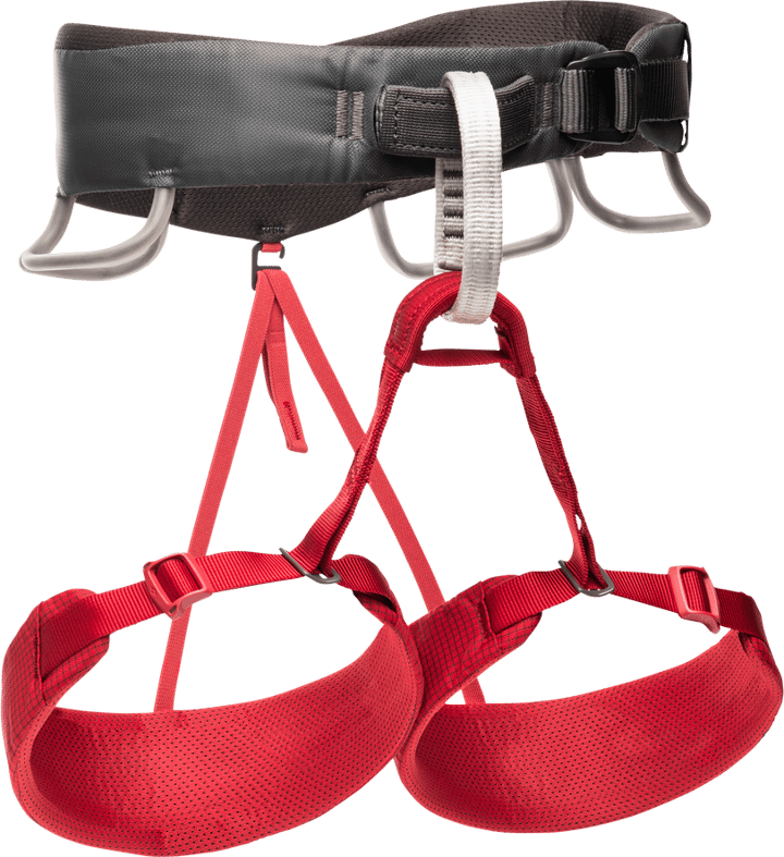 Black Diamond Women's Momentum Harness Wild Rose Black Diamond Black Diamond Women's Momentum Harness Wild Rose Black Diamond