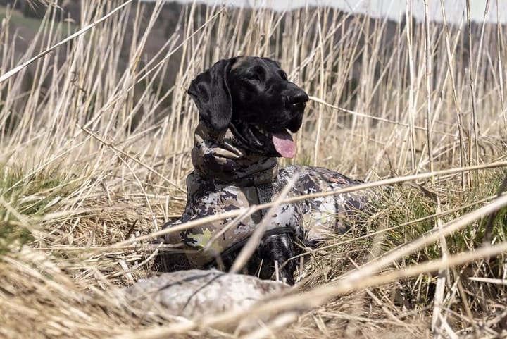 Blaser Blaser Dog Poncho Huntec Camouflage Blaser