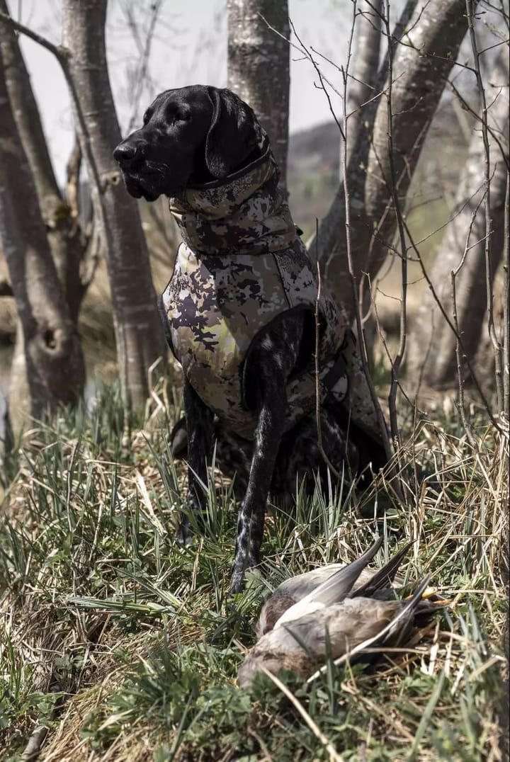Blaser Blaser Dog Poncho Huntec Camouflage Blaser