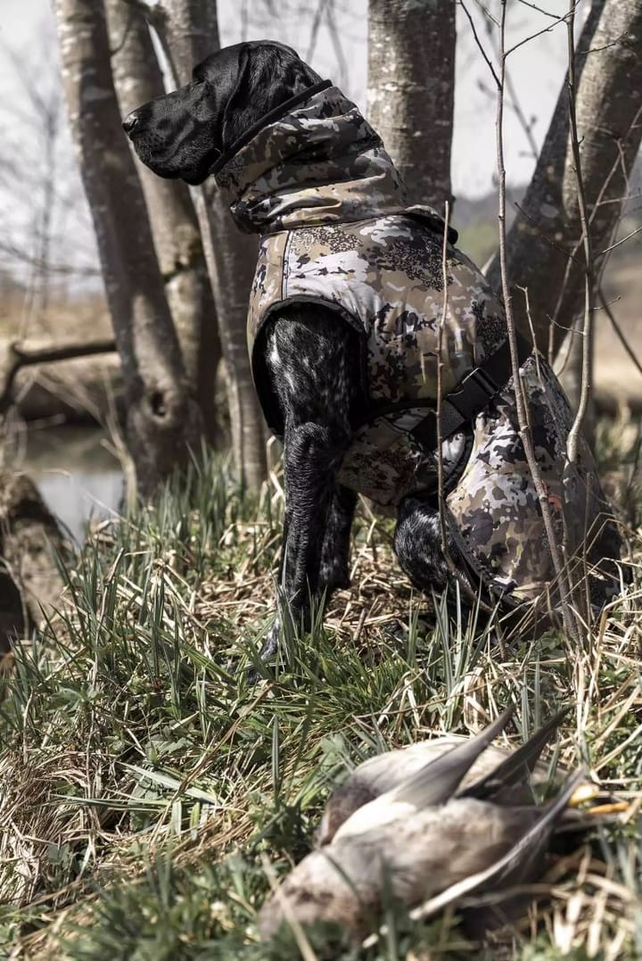 Blaser Blaser Dog Poncho Huntec Camouflage Blaser