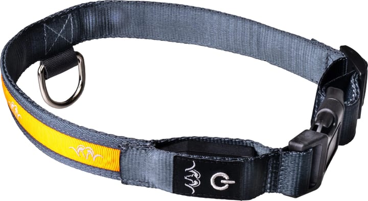 Blaser Hundehalsbånd LED Orange Blaser
