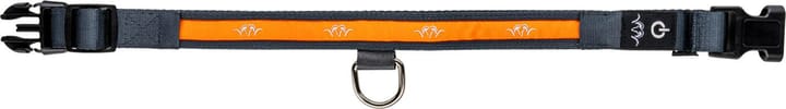 Blaser Hundehalsbånd LED Orange Blaser